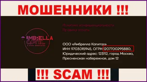 ООО Амбрелла Капитал интернет аферистов Umbrella-Capital Ru зарегистрировано под вот этим номером регистрации: 207700295880