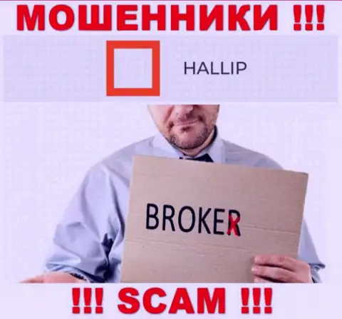 Род деятельности интернет махинаторов Hallip это Брокер, однако знайте это разводилово !!!