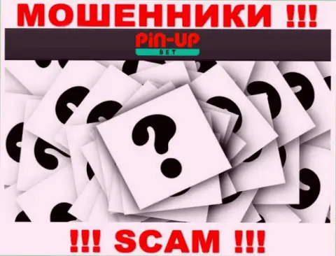 На онлайн-сервисе Pin Up Bet не указаны их руководители - воры без последствий крадут вложенные деньги