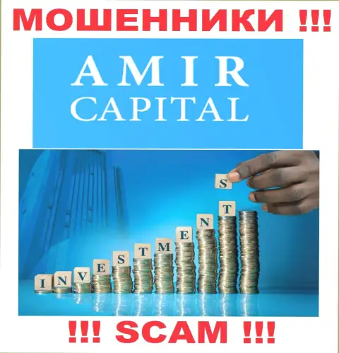 Не отдавайте деньги в Amir Capital, направление деятельности которых - Инвестиции