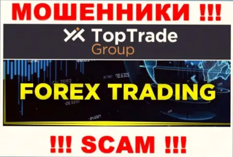 Top Trade Group - это internet-кидалы, их деятельность - Форекс, нацелена на прикарманивание финансовых активов наивных людей