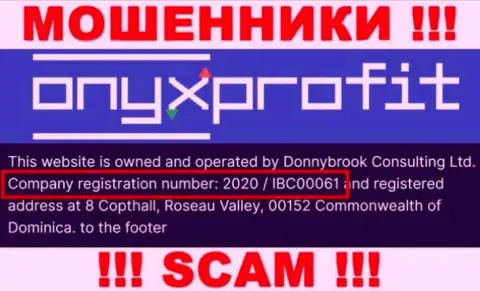 Рег. номер, который принадлежит организации OnyxProfit Pro - 2020 / IBC00061