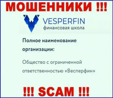 Инфа про юридическое лицо мошенников VesperFin - ООО Весперфин, не сохранит Вас от их грязных рук