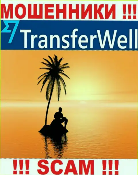 Юрисдикция TransferWell скрыта, поэтому перед перечислением денежных средств нужно подумать дважды