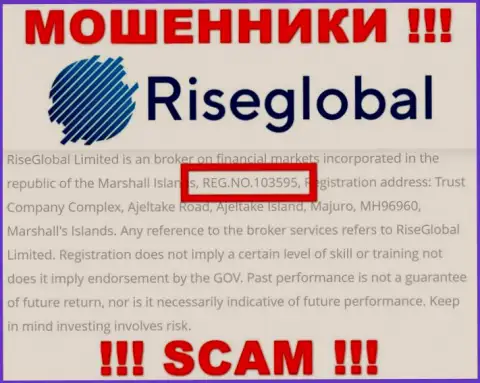 Регистрационный номер Rise Global, который шулера предоставили у себя на internet странице: 103595