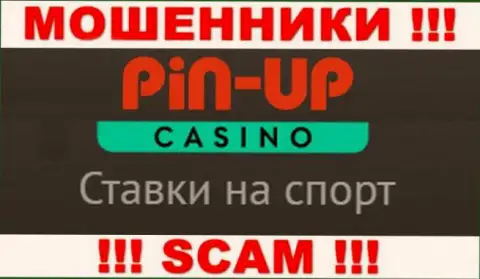 Основная деятельность Pin-Up Casino - это Casino, будьте крайне бдительны, действуют противоправно