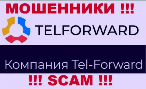 Юридическое лицо TelForward - это Тел-Форвард, именно такую информацию представили мошенники на своем информационном сервисе