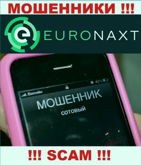 Вас намерены раскрутить на финансовые средства, EuroNax подыскивают очередных лохов