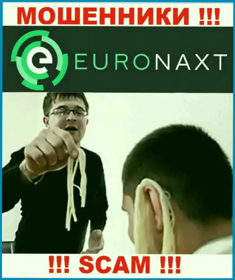 EuroNax пытаются развести на сотрудничество ? Будьте очень бдительны, жульничают