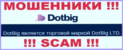 DotBig - юридическое лицо интернет-мошенников контора DotBig LTD