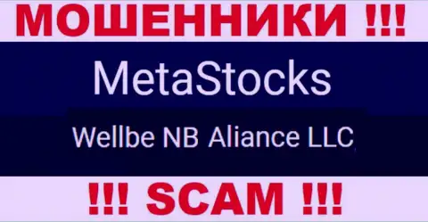 Юридическое лицо мошенников Meta Stocks - это Wellbe NB Aliance LLC
