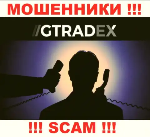 Информации о руководстве махинаторов GTradex во всемирной сети не удалось найти