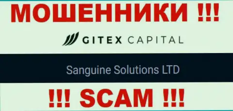 Юридическое лицо GitexCapital Pro - это Sanguine Solutions LTD, такую информацию предоставили мошенники на своем сайте