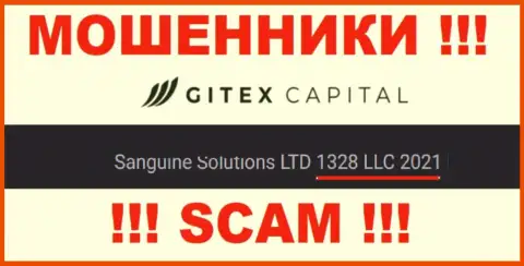 Регистрационный номер организации Gitex Capital: 1328 LLC 2021