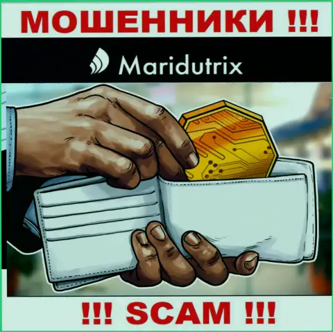Крипто кошелек - именно в данной области прокручивают свои делишки коварные мошенники Maridutrix