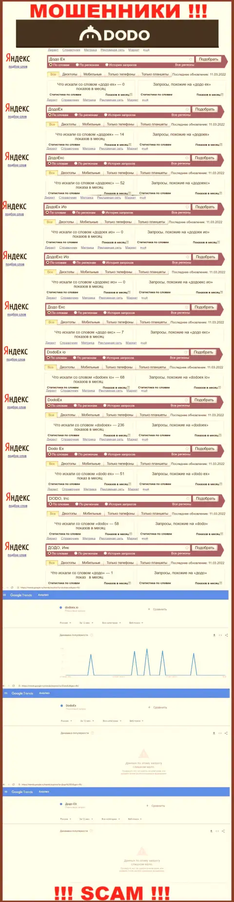 Статистические показатели online-запросов по кидалам DodoEx в поисковиках internet сети
