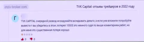 TVK Capital - это ВОРЮГИ !!! Не забывайте об этом, когда будете вводить сбережения в указанный лохотронный проект (отзыв)