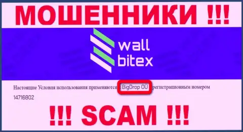 WallBitex Com - это ВОРЫ !!! Управляет указанным разводняком БигДроп ОЮ
