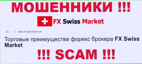 Тип деятельности FXSwiss Market: FOREX - хороший заработок для шулеров