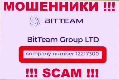 Будьте весьма внимательны, наличие номера регистрации у организации BitTeam (12217300) может быть приманкой
