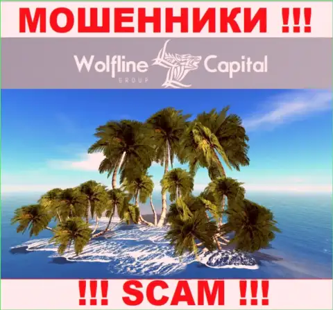 Ворюги Wolfline Capital не указывают достоверную инфу относительно их юрисдикции