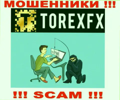 Мошенники TorexFX могут попытаться развести Вас на деньги, только знайте - это рискованно