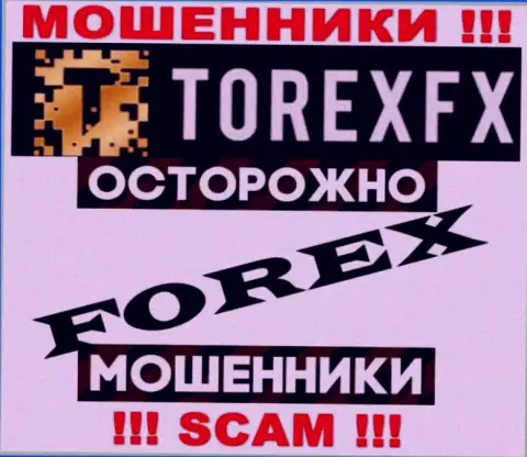 Род деятельности Торекс ФХ: Forex - хороший доход для мошенников